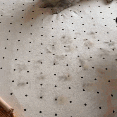 Magischer ZootoFell Handschuh