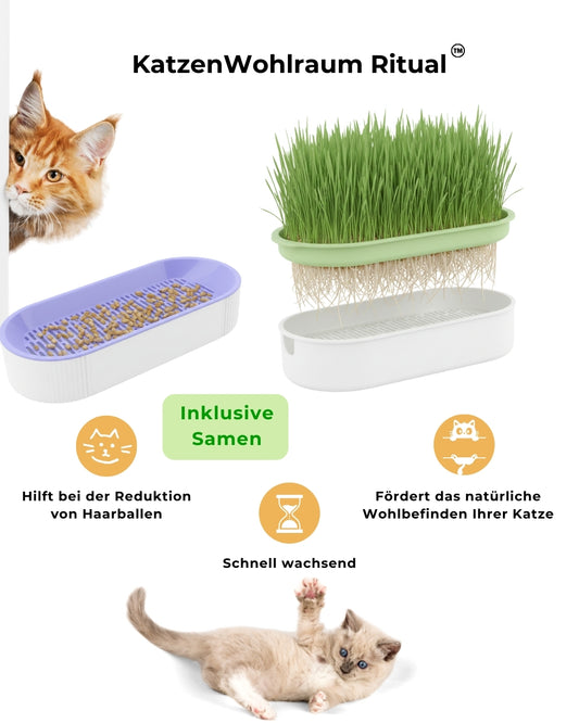 KatzenWohlraum Ritual